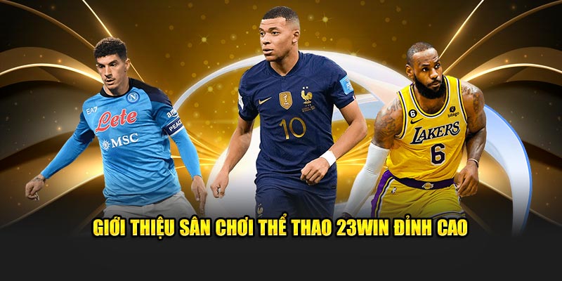 Lý do chọn thể thao 23win cho cá cược thể thao